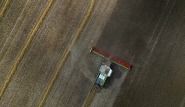 Aerial view of a combine harvester cutting wheat in a dry, dusty field with visible rows of harvested and unharvested crops.