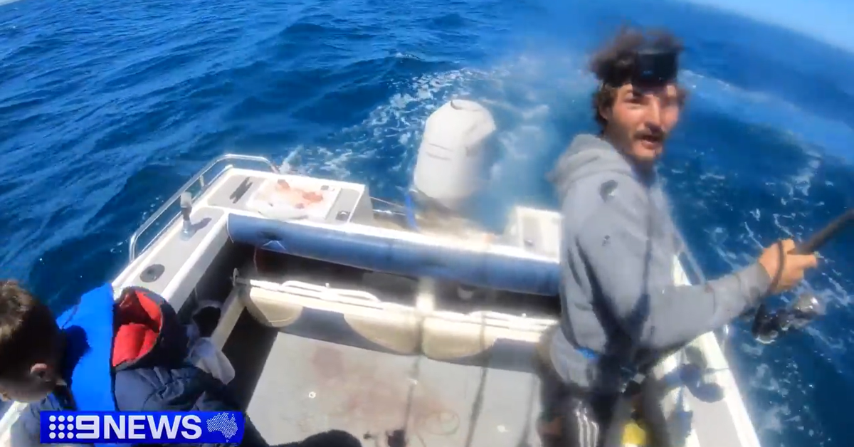 'Amazing experience' as great white shark snagged off Barwon Heads