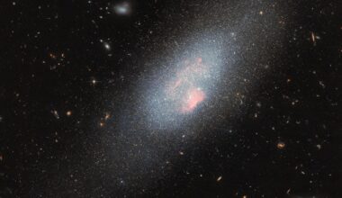 A pale blue dwarf galaxy on the black backdrop of space with some faraway galaxies. The galaxy itself resembles a fuzzy cloud of tightly packed stars, with a broad halo of stars dispersed around it. Spread across the galaxy’s core are several small, glowing patches of gas where there is a concentration of very hot stars.