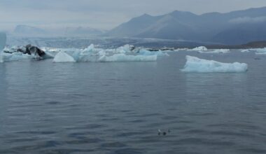 A 30-year-old forecast of sea-level rise has proven to be remarkably accurate, according to a Tulane University geologist.