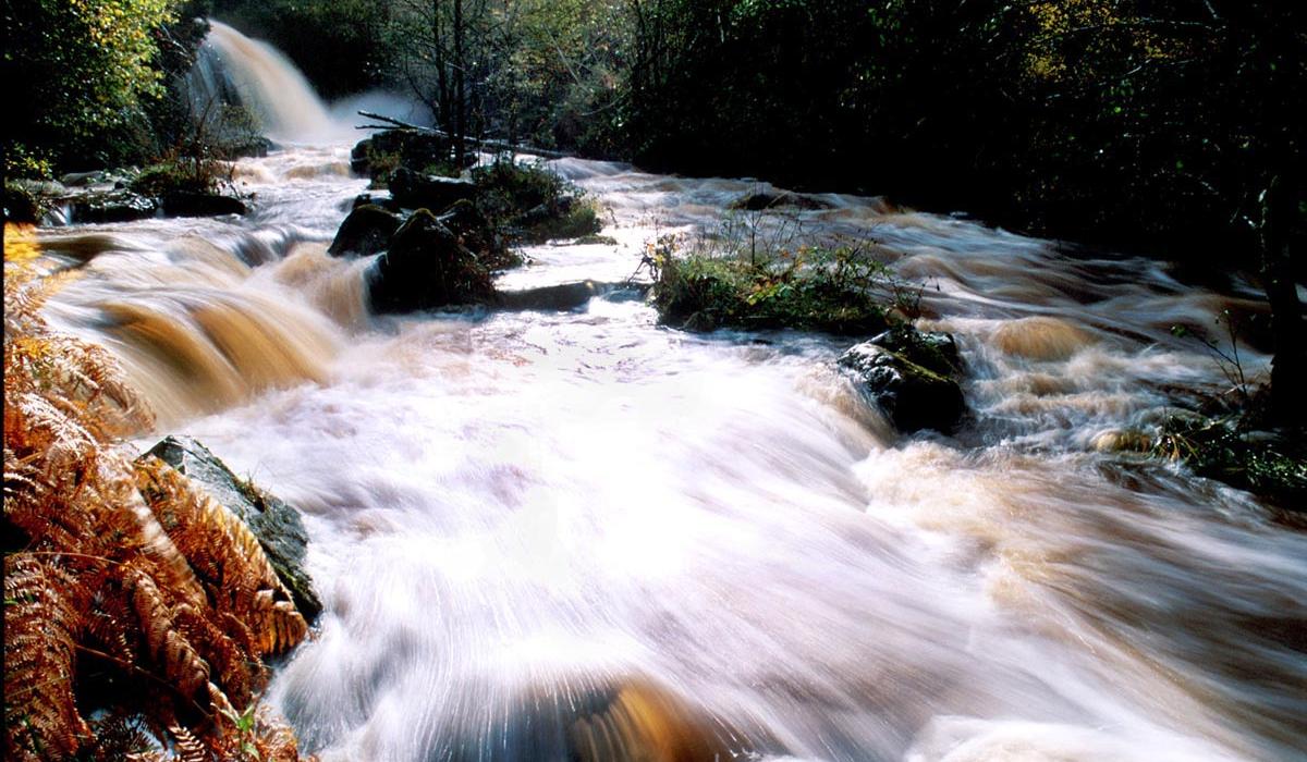 Laois Slieve Bloom waterfall is one of Ireland's most visited beauty spots