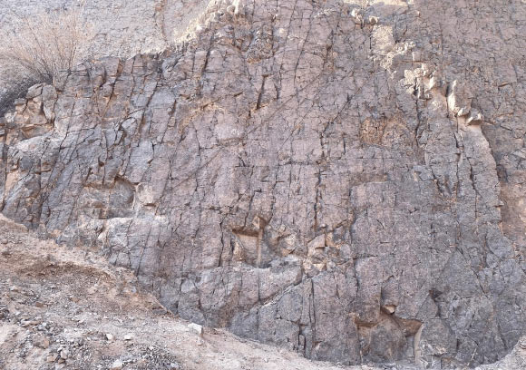 Trackway with four consecutive tracks of a large tridactyl trackmaker in the Majala Formation in Chile. Image credit: Yurac et al., doi: 10.1186/s13358-025-00419-9.
