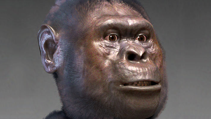Remarkable Fossil from South Africa May Be New Species of Australopithecus: Study
