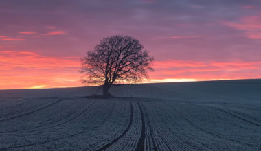 How to Get Crisp Detail Without the “Over-Sharpened” Look