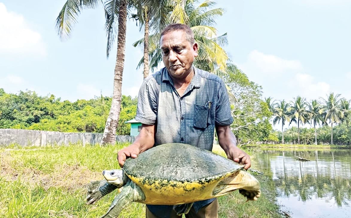 Inside Bangladesh’s Sundarbans, A Quiet Wildlife Recovery Signals Hope For River Ecosystems Across South Asia