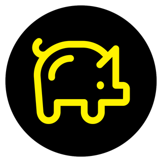 pig organ transplants