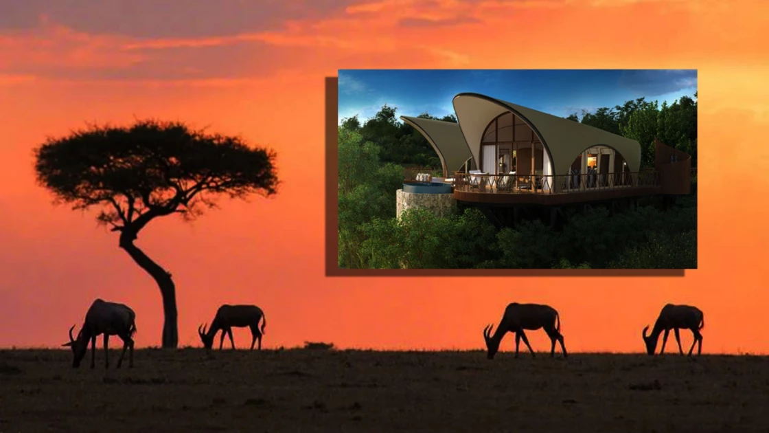 Is a luxury hotel in the Maasai Mara blocking a wildlife corridor?
