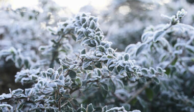 Met Éireann forecasts frost, ice, and winter sunshine over Christmas period