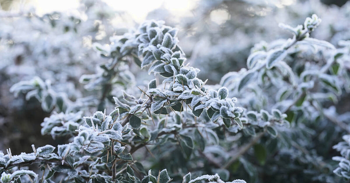 Met Éireann forecasts frost, ice, and winter sunshine over Christmas period