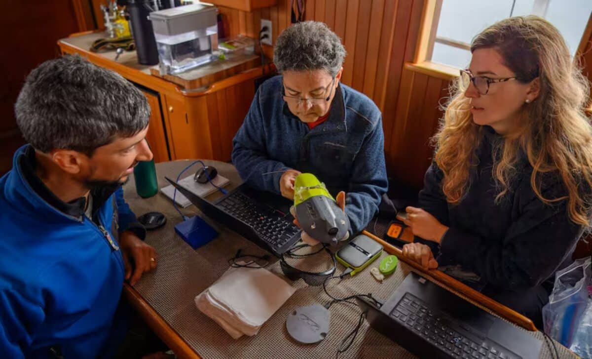 Mike Deroos (cetacea Contracting, Ltd), Andrew Trites, And Sarah Fortune Looking At Footage From The Cats. (andrew Tritesubc)