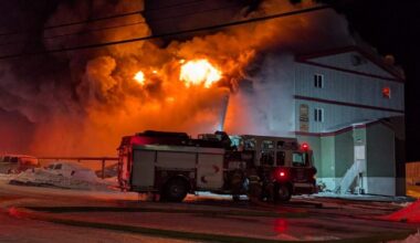 Fire, Netflix and animal control made the news