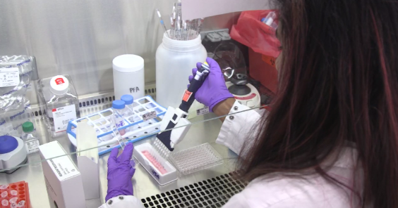 Northwestern Medicine's new antibody therapy helps immune system identify, kill pancreatic cancer cells