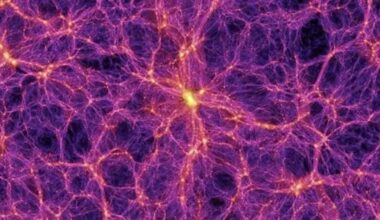 The Cosmic Web