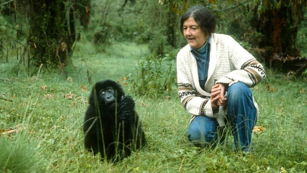 The mysterious murder of gorilla researcher Dian Fossey