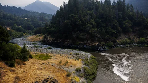 Getty Images Salmon have been rebounding in the Klamath region since the removal of four major dams (Credit: Getty Images)