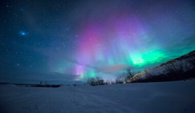 sun auroras