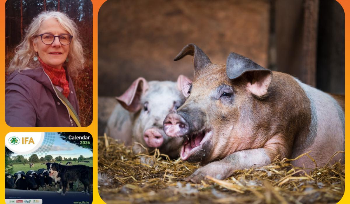Laois woman's funny pig photo is in one of Ireland's most popular calendars