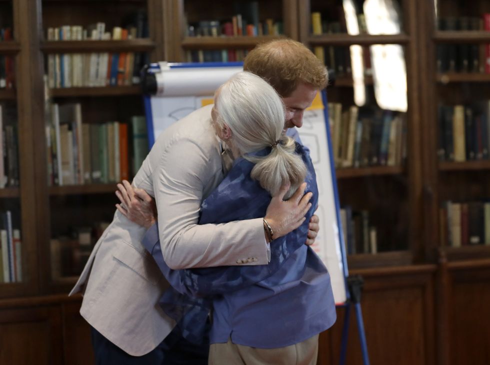 Prince Harry and Jane Goodall