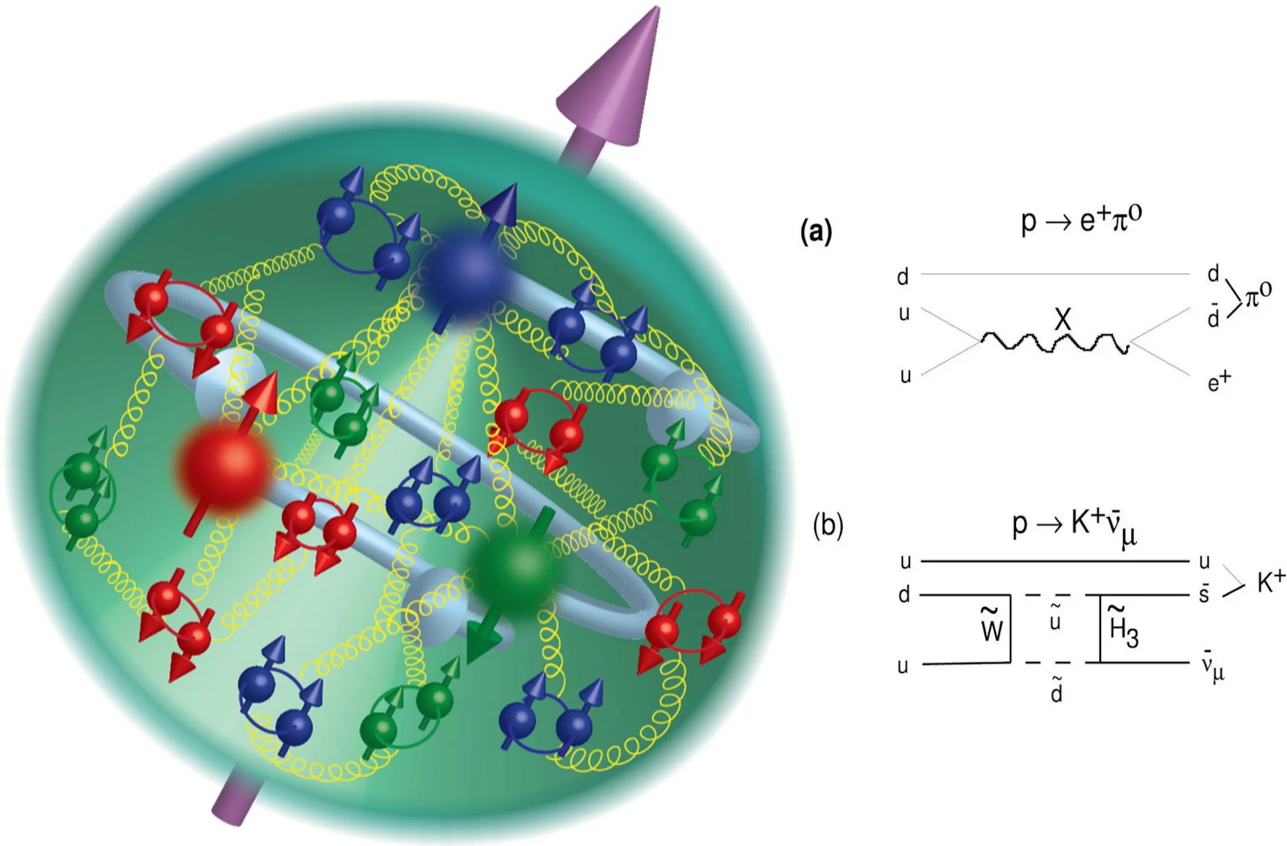 Illustration of a proton showing quarks, gluons, and decay processes; includes Feynman diagrams for proton decay—reminding us even Einstein couldn’t change the facts of particle physics.