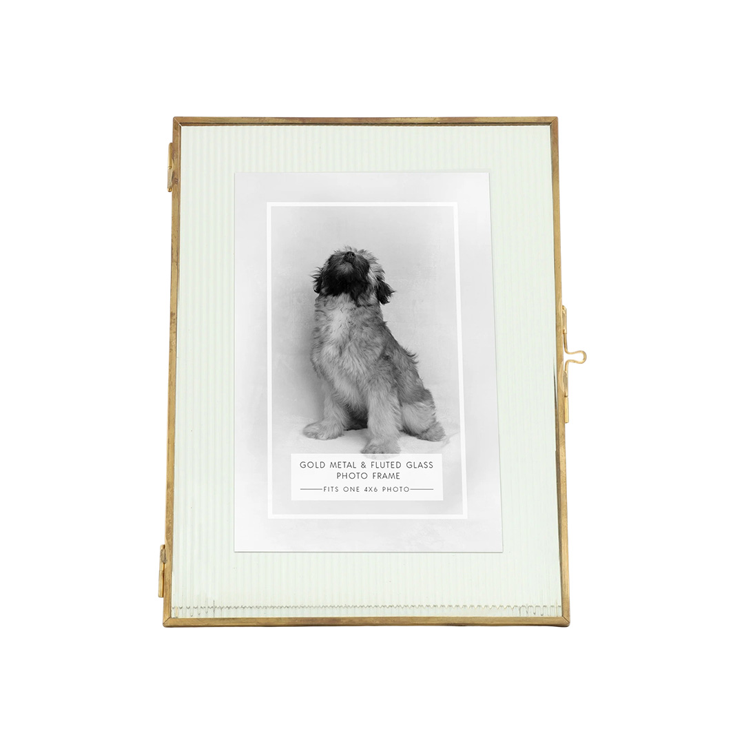 Brass picture frame with glass frame and stock photo of black-and-white dog