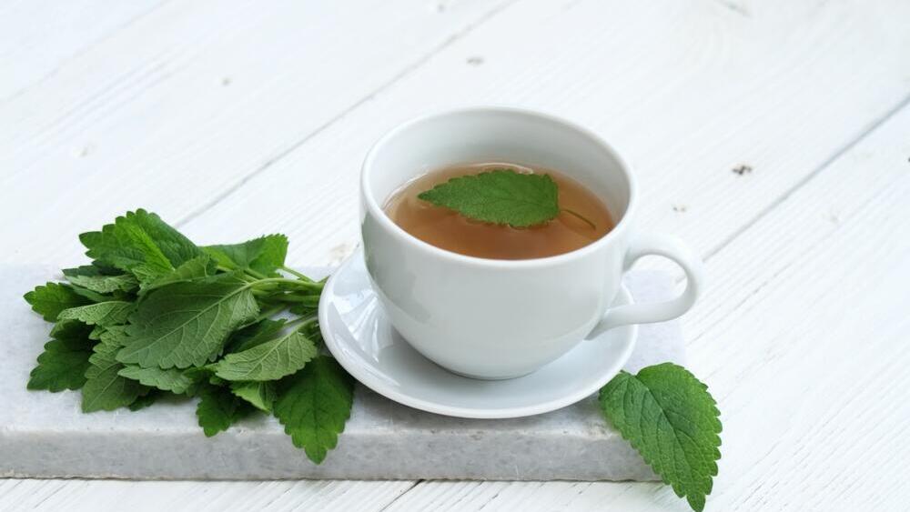 מליסה רפואית 