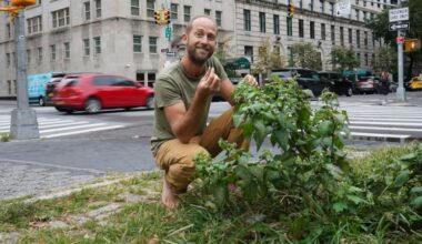 Forage for food—without killing your guests