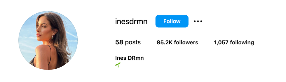ines instagram