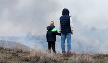 OHSU study finds exposure to common air pollutants alters adolescent brain development