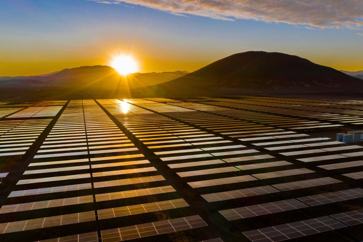 solar panels
