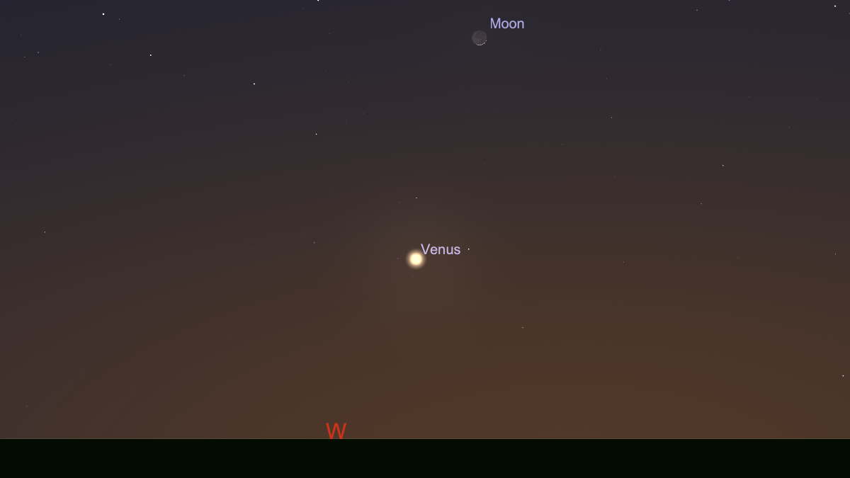 A labeled night sky image with an orange and purple night sky where a glowing dot in the center is labeled Venus in white text and at the top of the image is a labeled dot for moon