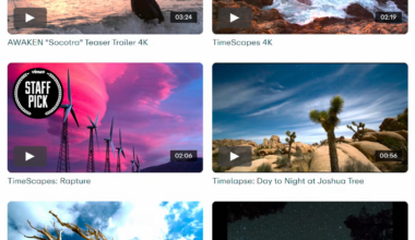 The Rise and Fall of Vimeo