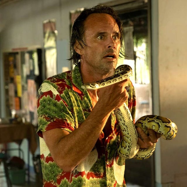 walton goggins as rick in the white lotus season three