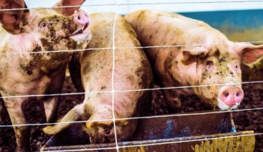 Washington Post Says It Will Continue AI-Generating Error Filled Podcasts as Its Own Editors Groan in Embarrassment