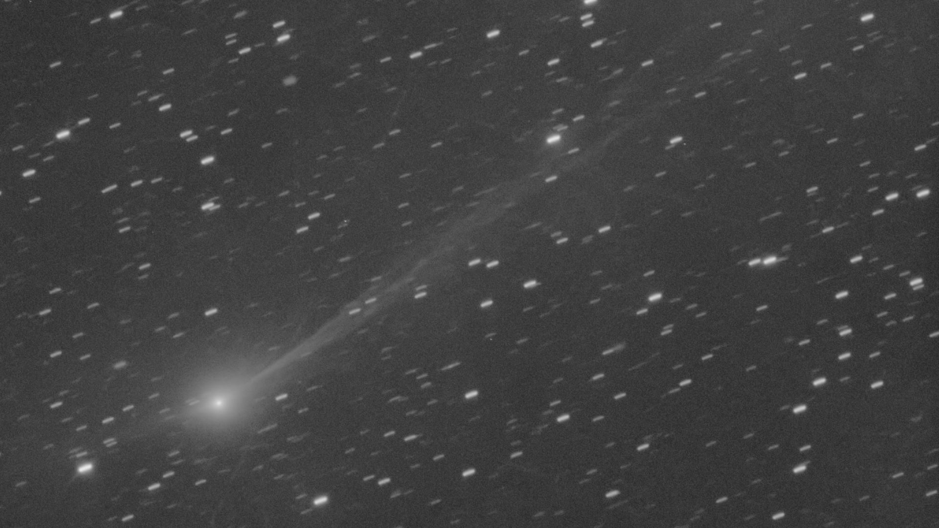 A glowing comet nucleus and coma are visible to the lower left of an image against a black night sky, punctuated by numerous white points representing stars. A ghostly tail is visible extending diagonally from the nucleus to the upper right corner of the image.