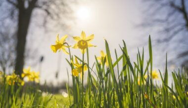 when does spring really begin?
