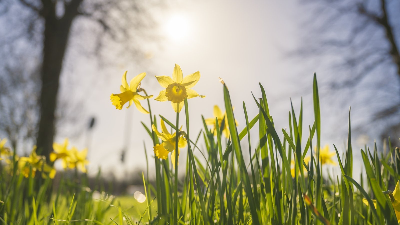 when does spring really begin?