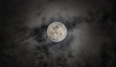 When to expect the next full moon in 2026