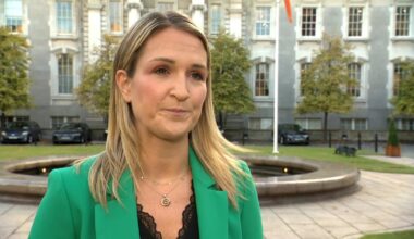 Taoiseach's White House visit should go ahead