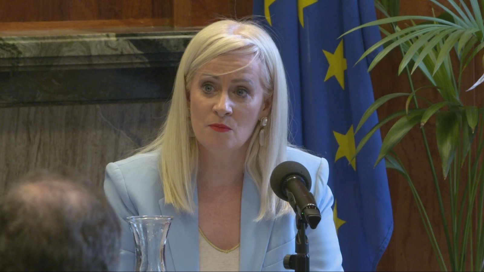 Irish, EU laws broken on AI child abuse images