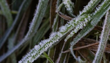 Hazardous travel conditions forecast as temperatures drop