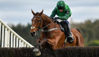 El Fabiolo gets back to winning ways at Punchestown