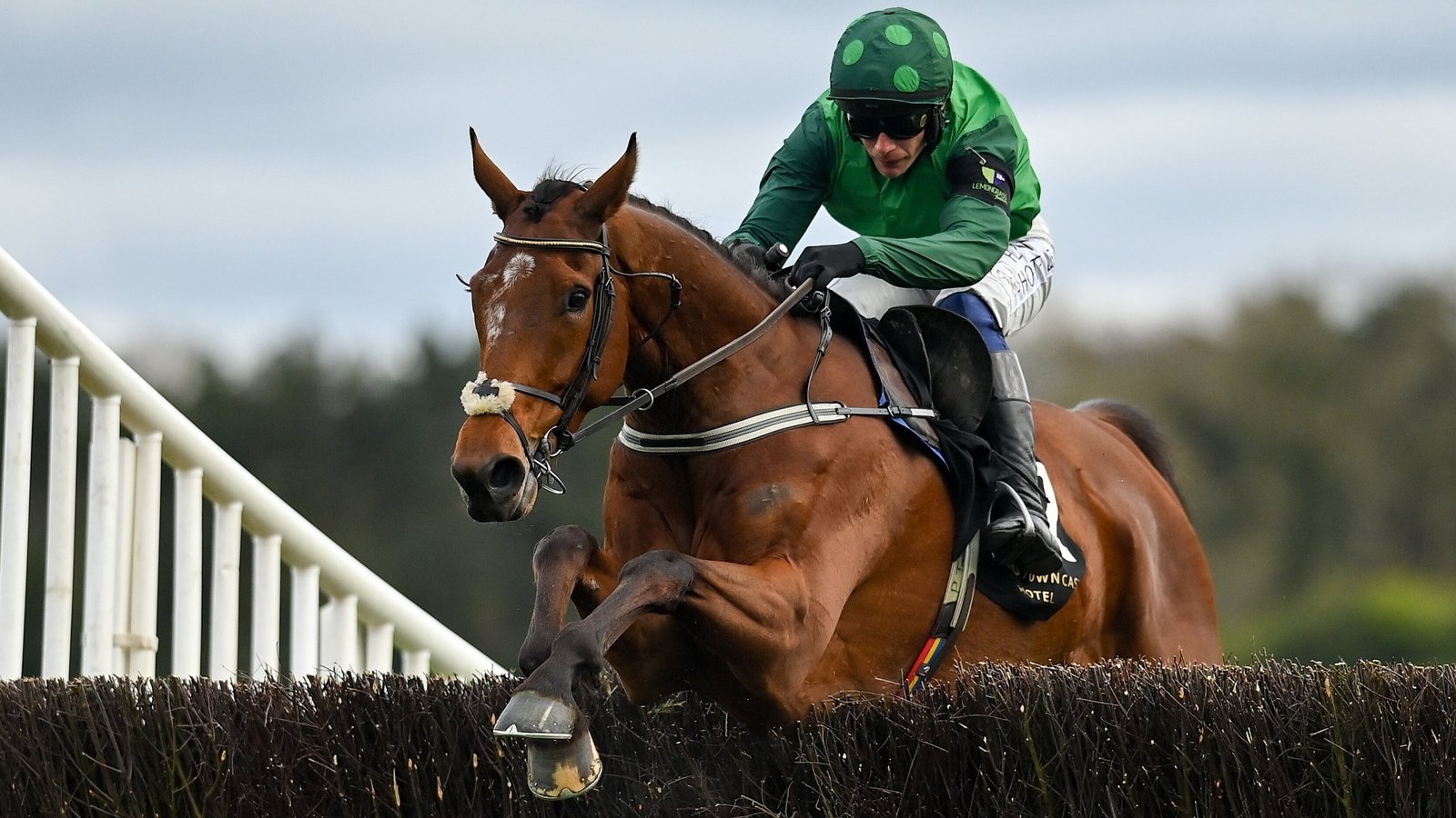 El Fabiolo gets back to winning ways at Punchestown