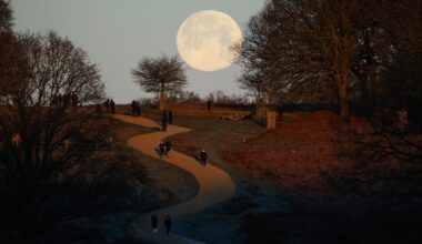 All you need to know about this weekend's wolf supermoon