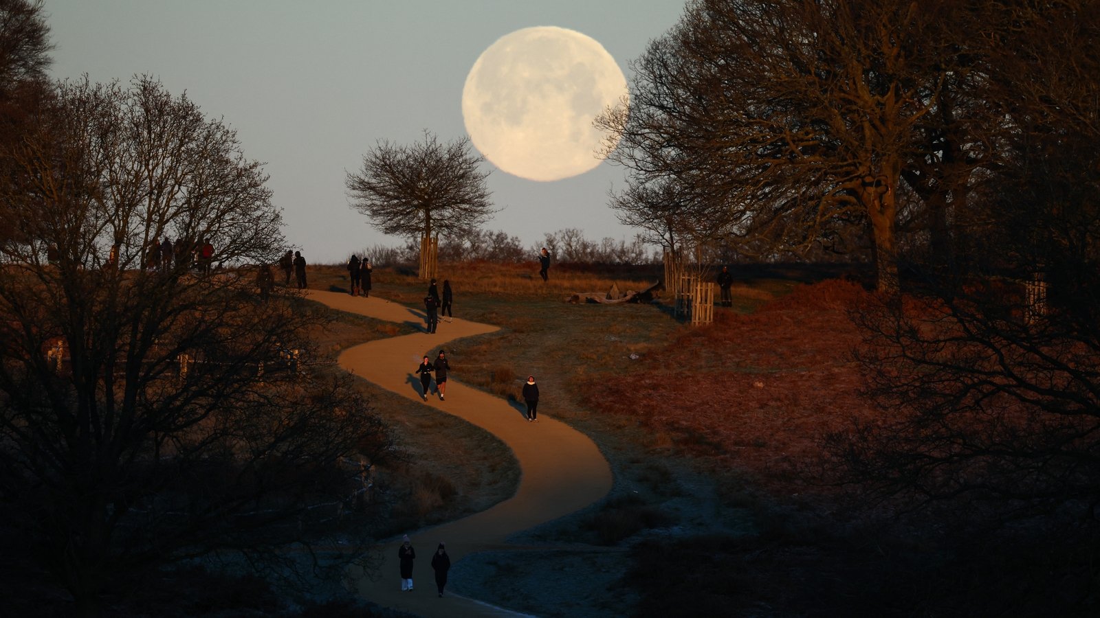 All you need to know about this weekend's wolf supermoon