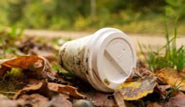 Sligo cleanest town, coffee cups a litter issue