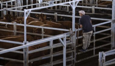 Govt expected to decide stance on EU-Mercosur trade deal