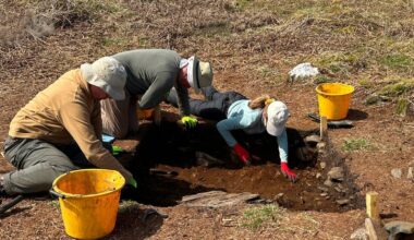 Wicklow hillfort designated Ireland's earliest proto-town