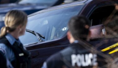 AI deepfakes of Minnesota shooter, victim appear online