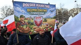 Farmers from all over Poland are seen during a nationwide protest
