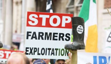 Political necessity trumped wider view on Mercosur deal